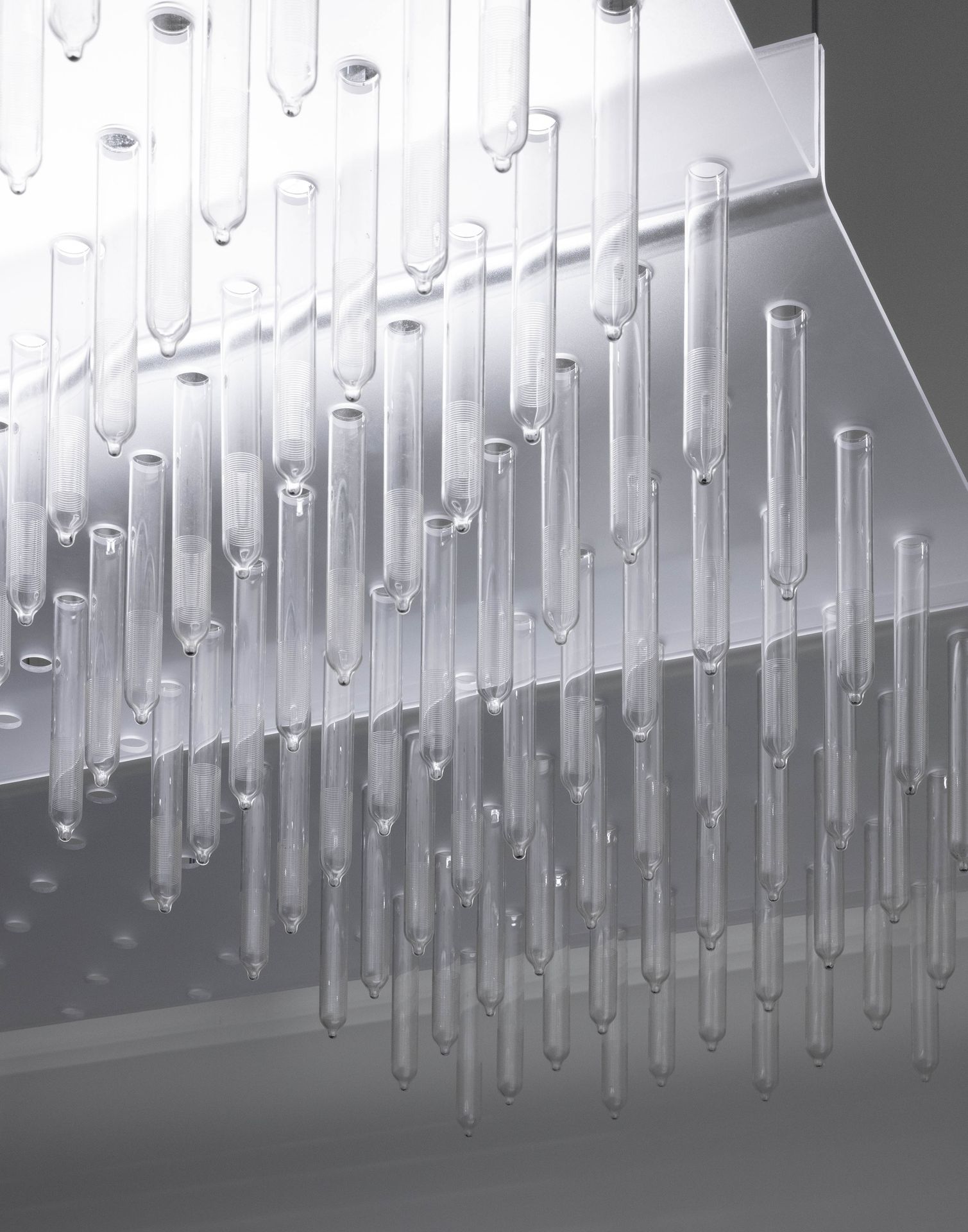Black and white photograph looking up at a dense cluster of sleek, modern condom former pendant lights hanging from an industrial ceiling.
