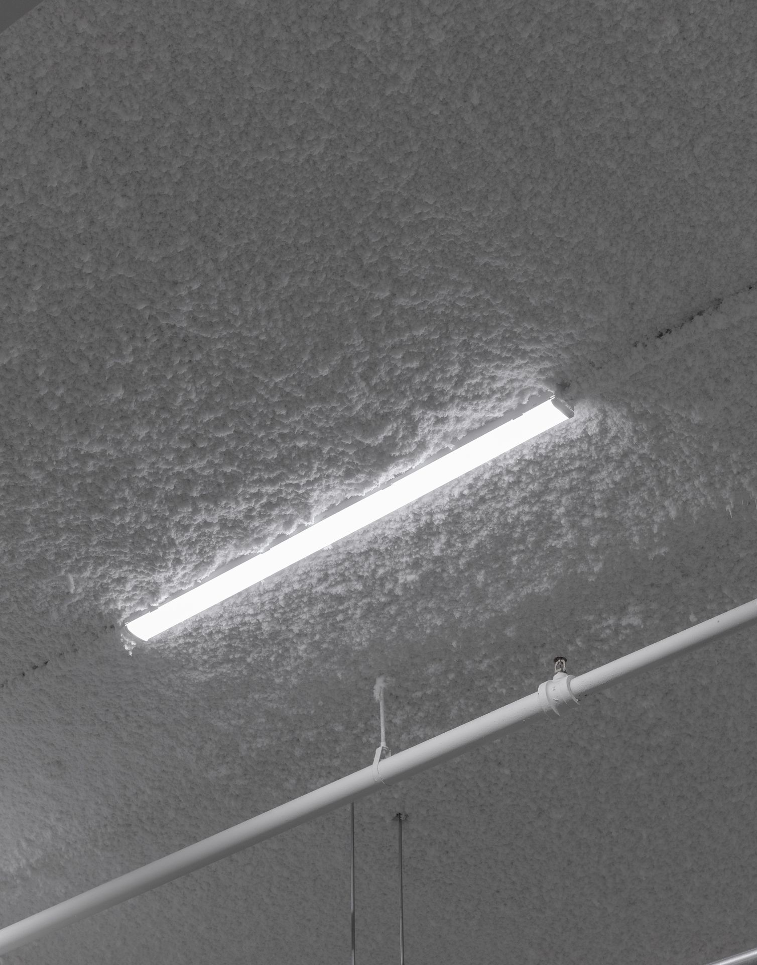 Industrial ceiling view focusing on a long, modern linear LED light fixture suspended below exposed architectural utilities.